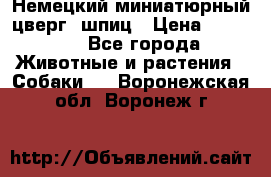 Немецкий миниатюрный(цверг) шпиц › Цена ­ 50 000 - Все города Животные и растения » Собаки   . Воронежская обл.,Воронеж г.